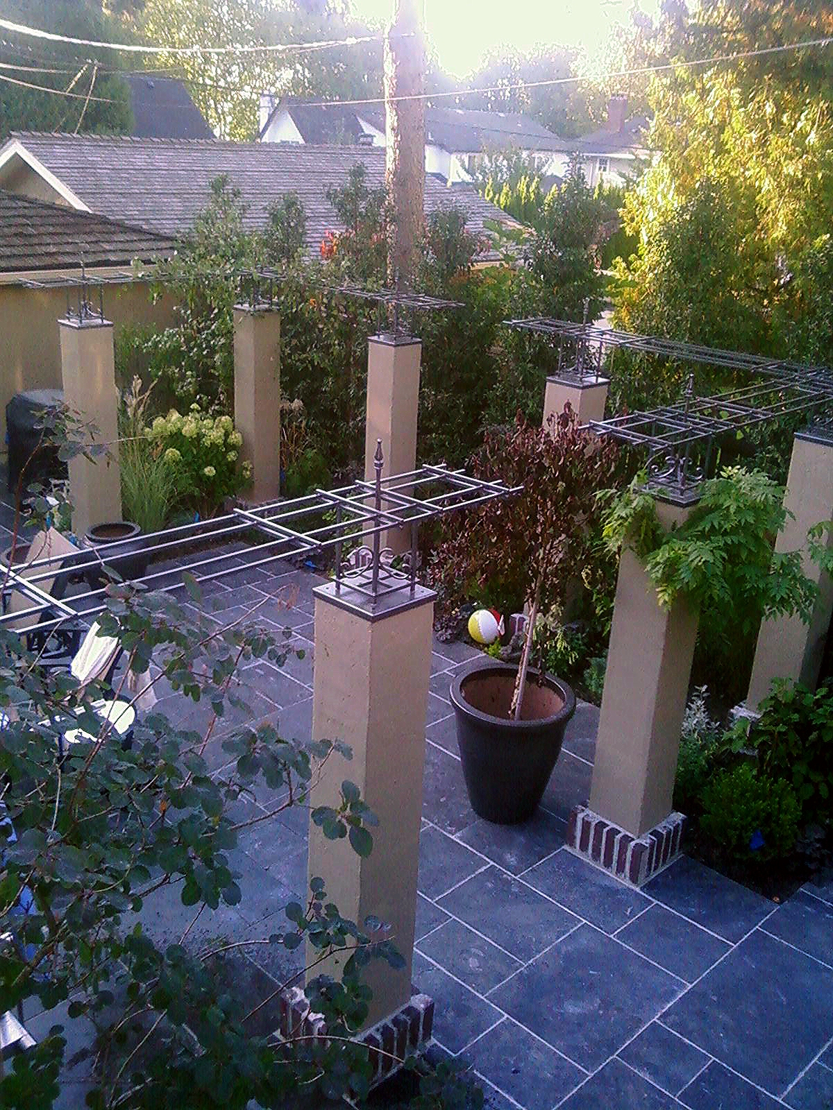 Trellis 1.jpg