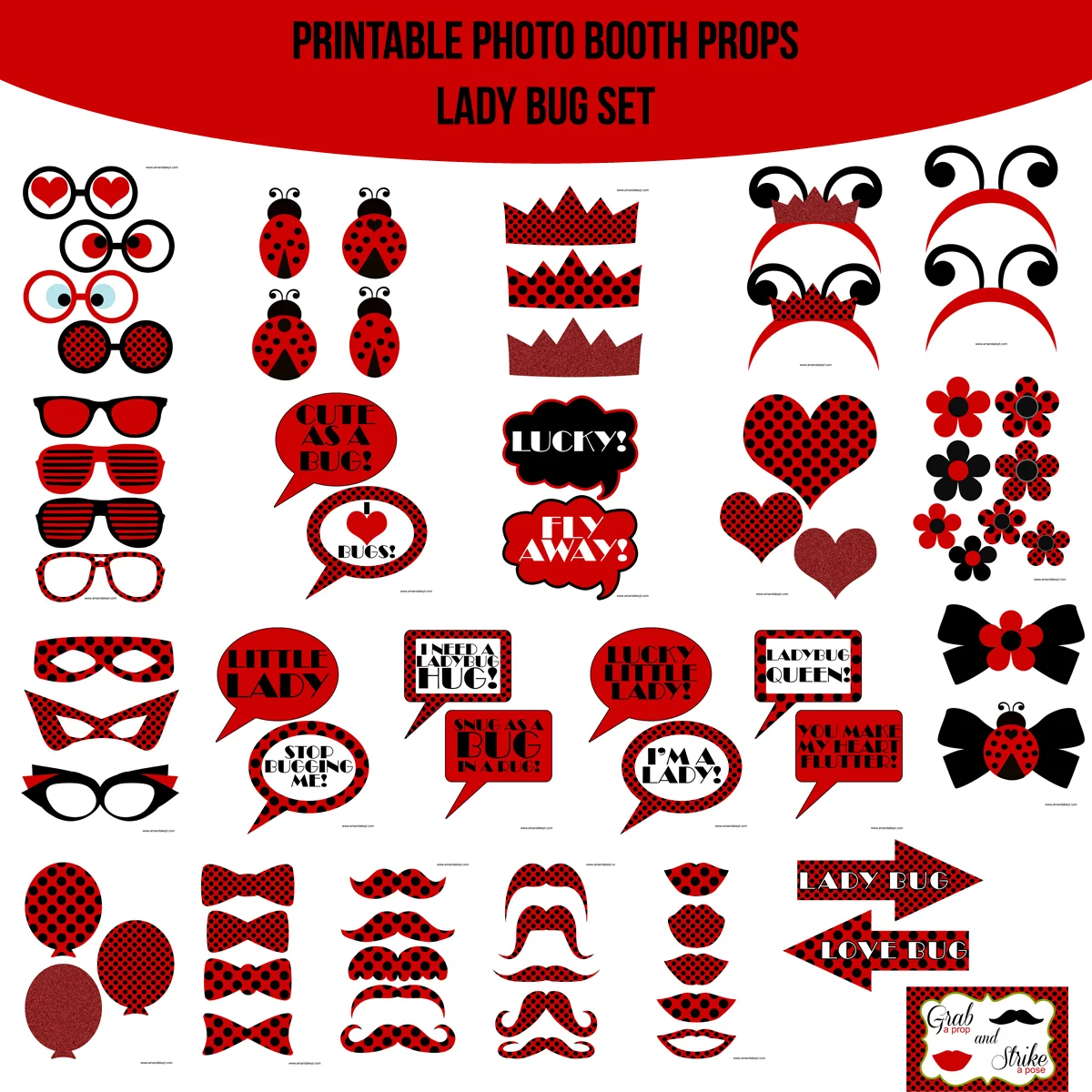LadyBug copy.jpg