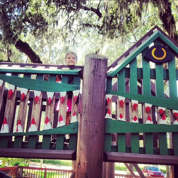 Mt. Dora Playground