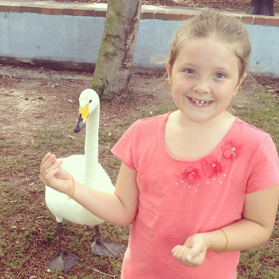 Feeding a Goose at Lake Eola