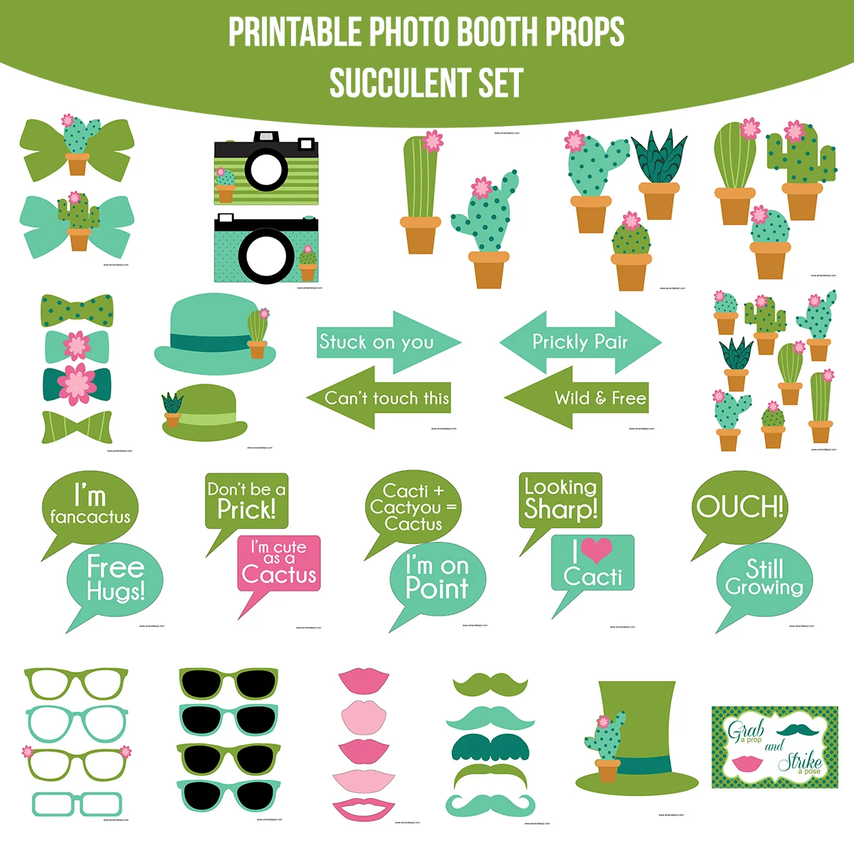 Copy of Plants