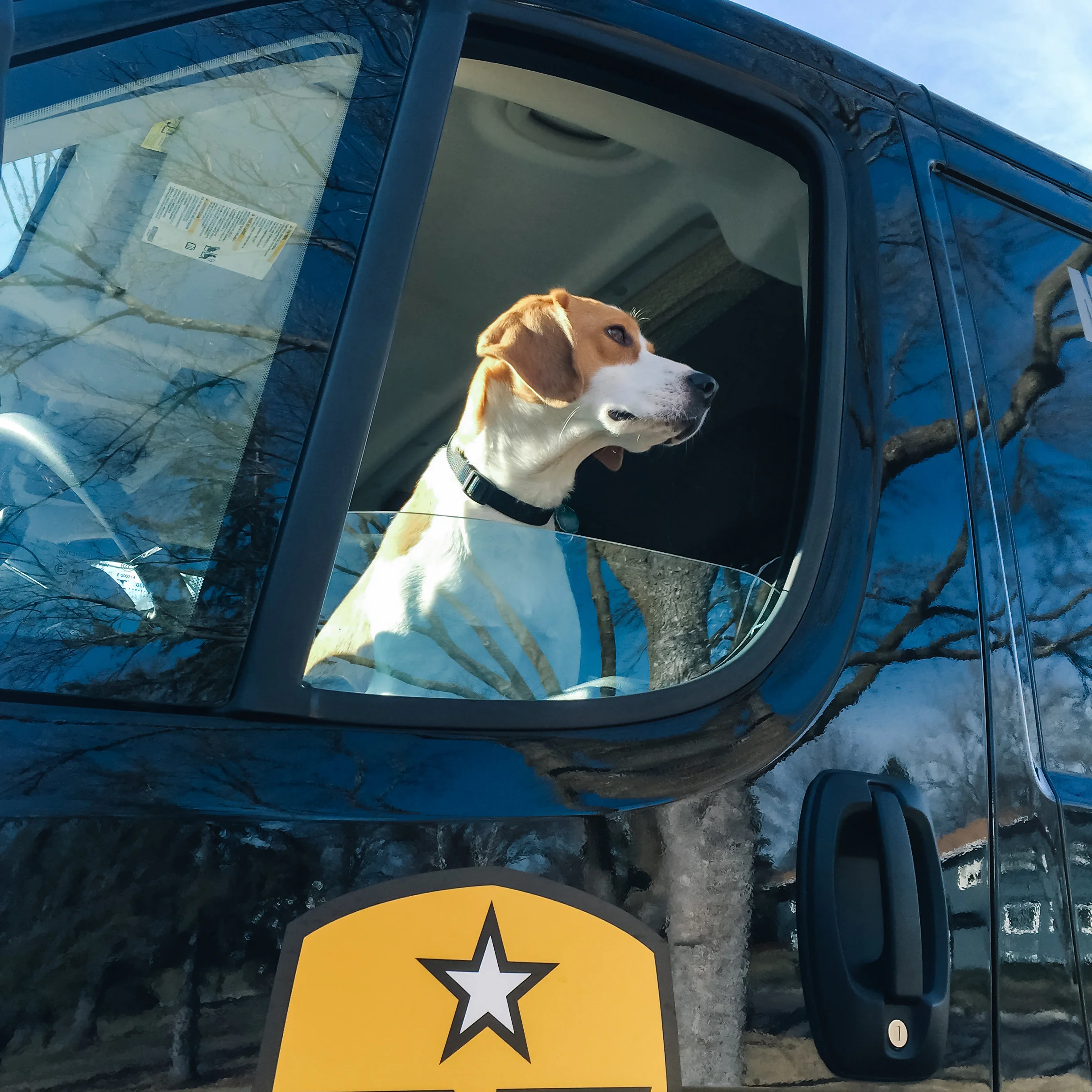 Ham Drone HoundEvery team needs a mascot