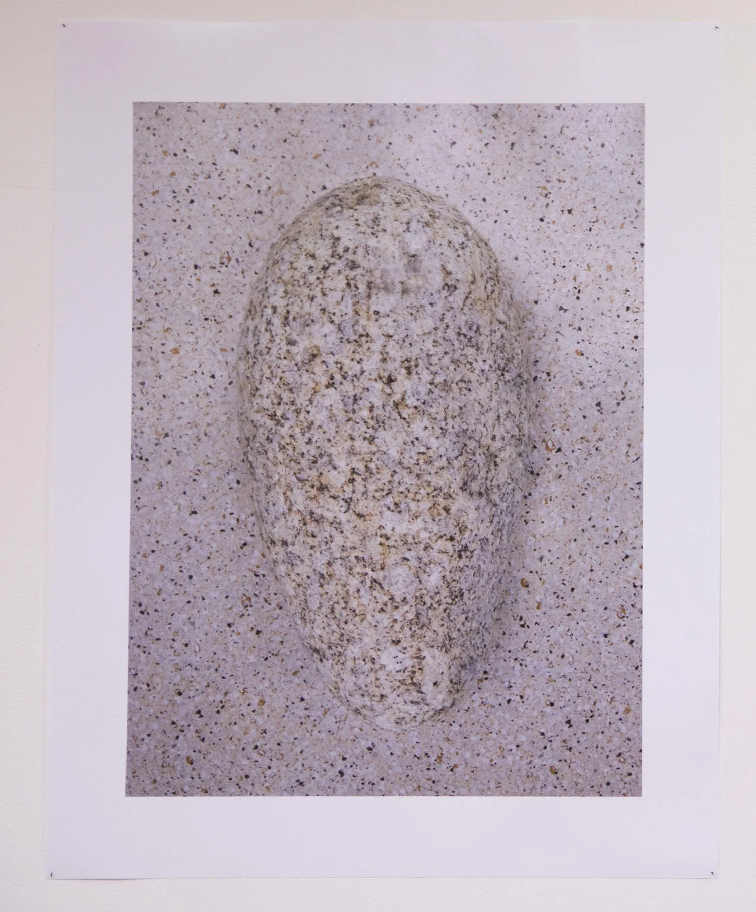 Camouflaged Rock_Shay Arick .jpg