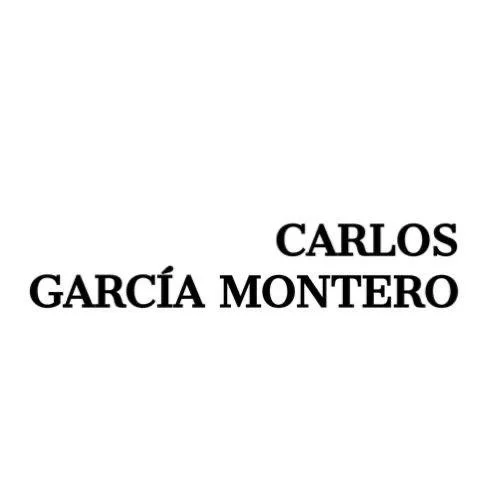 Carlos García Montero | Curador, Escritor y Educador de Arte 