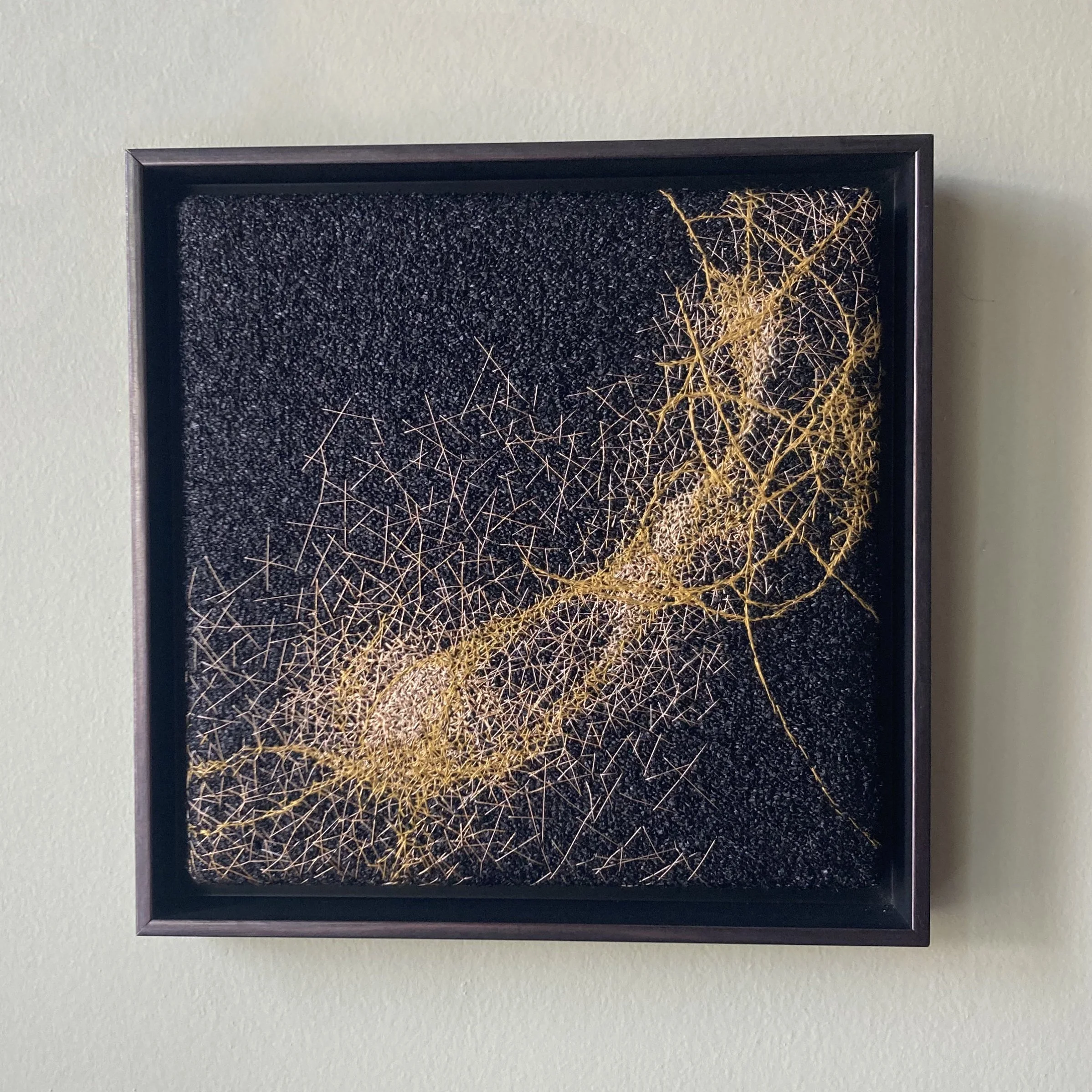 'Contour/Fragmentation'