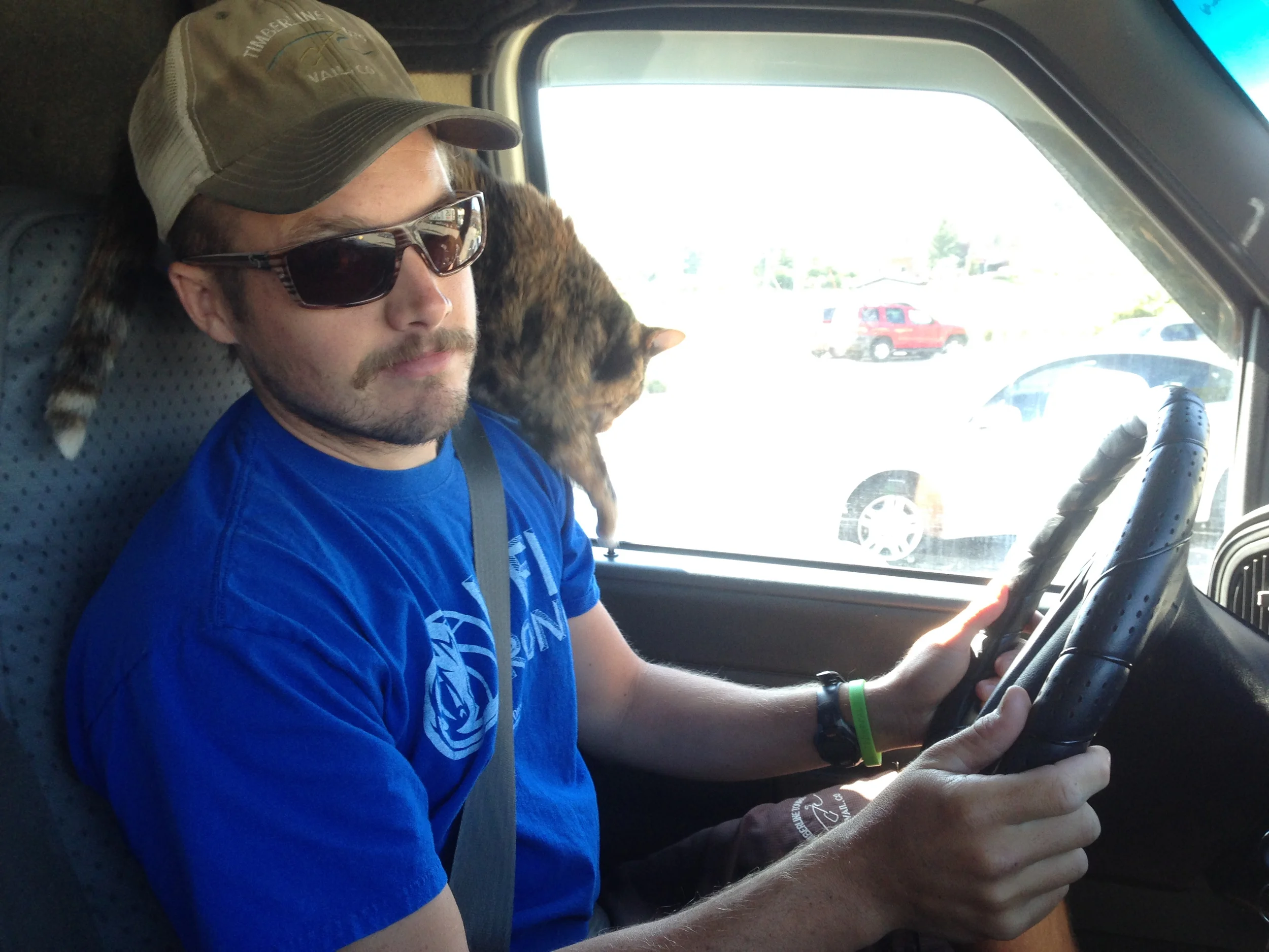 Loulou wasn't exactly stoked when we first hit the road.
