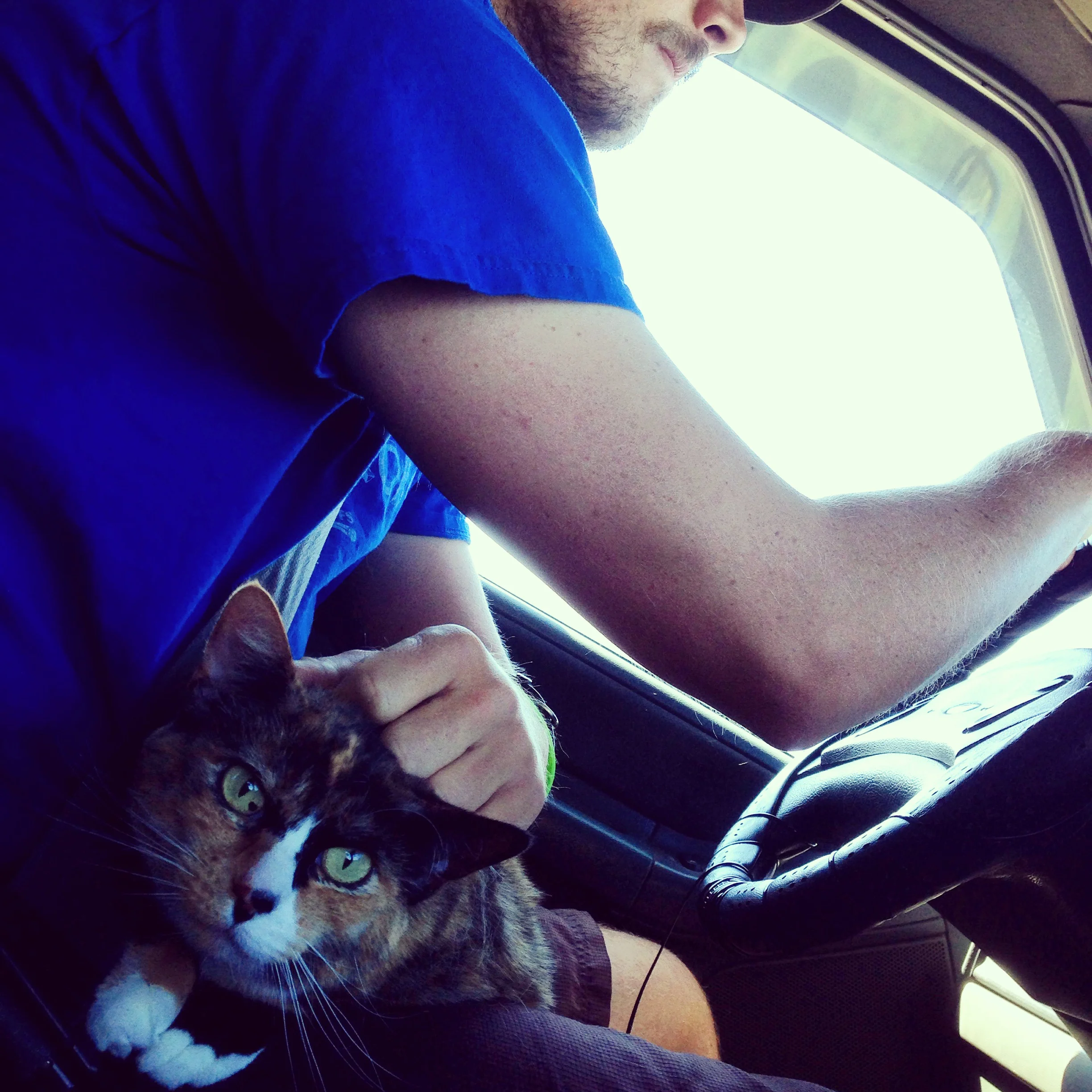 Loulou finally got settled right where she likes it…in the driver's seat.