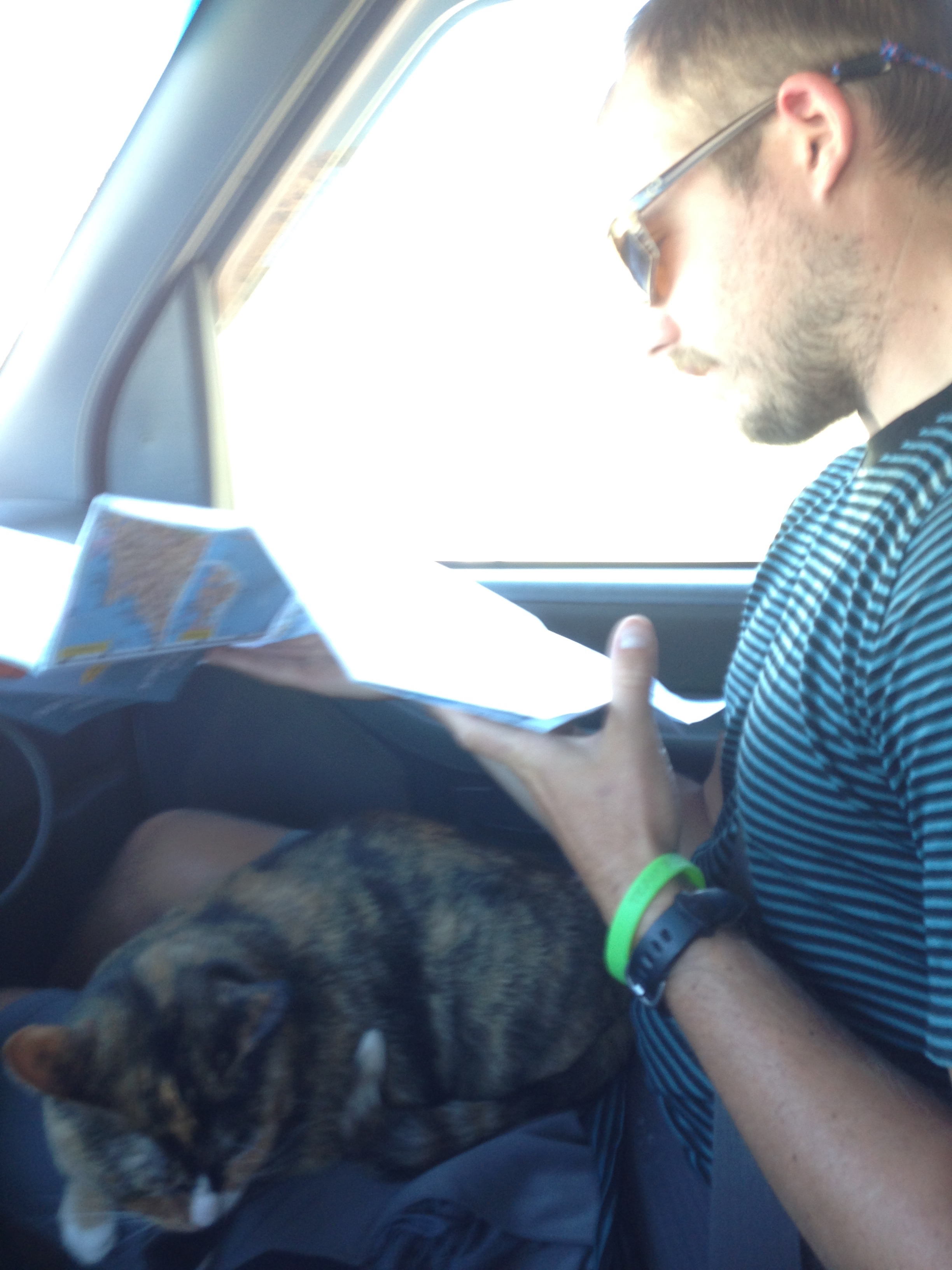 Loulou slacking on the job as navigator.