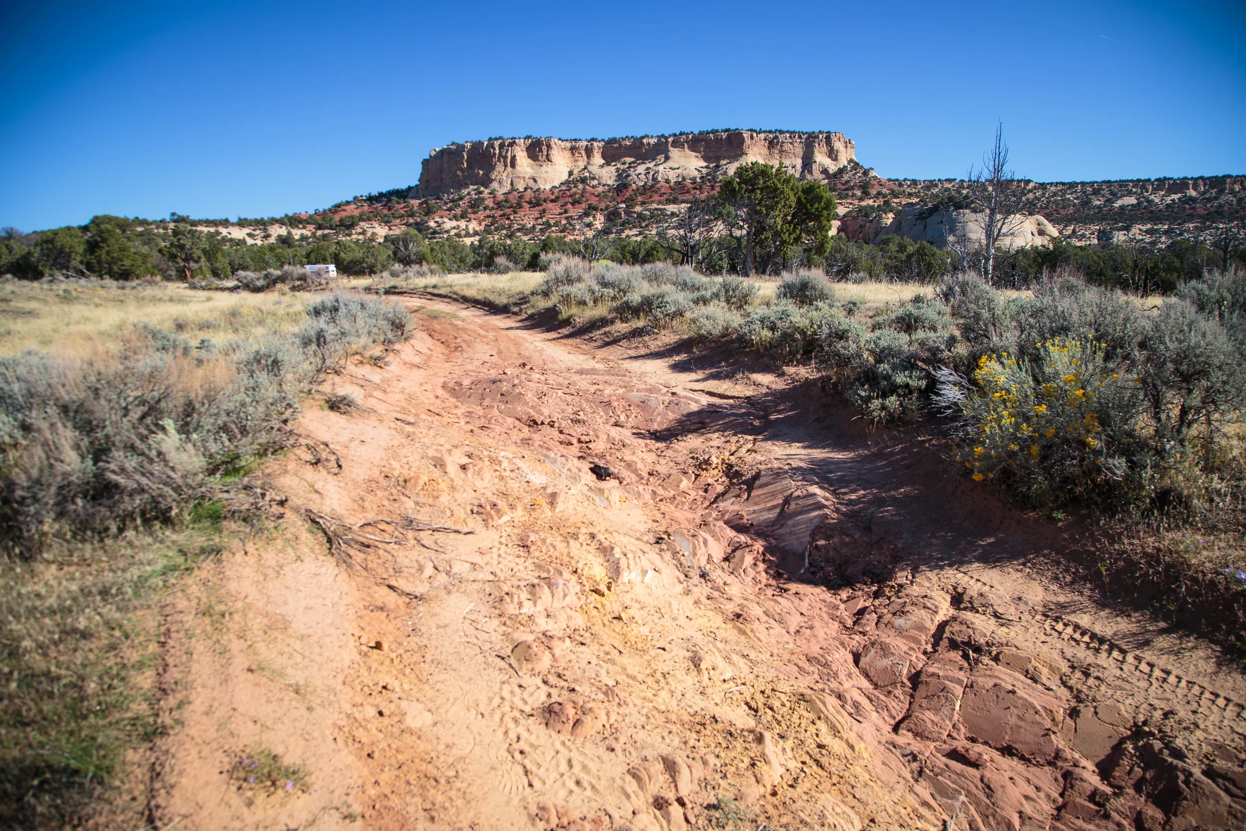 In daylight, we realized what an iffy trek it'd been to get into our camping spot.