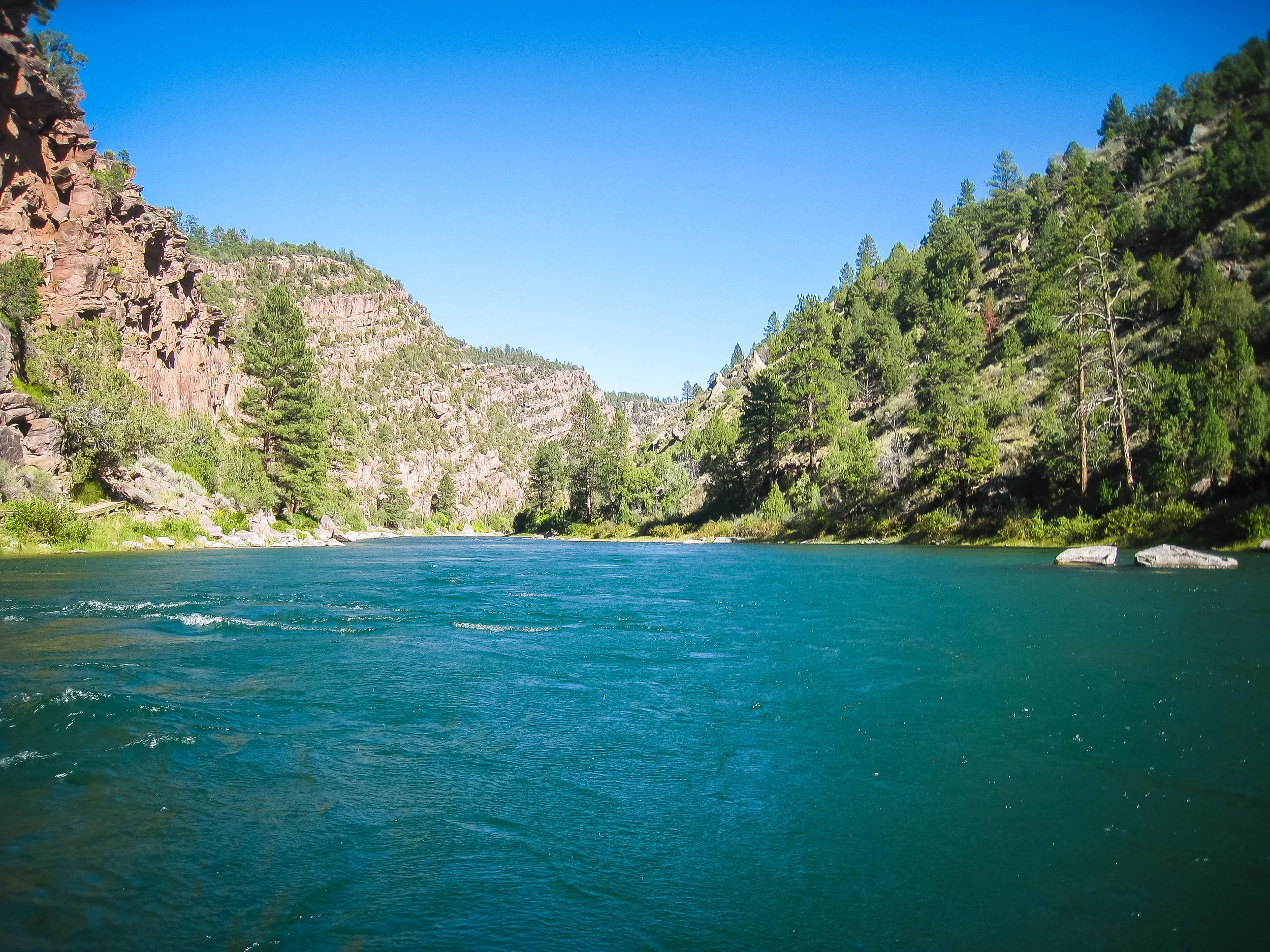 The water was amazing. So clear that we'd often get distracted by the river bed passing below us.