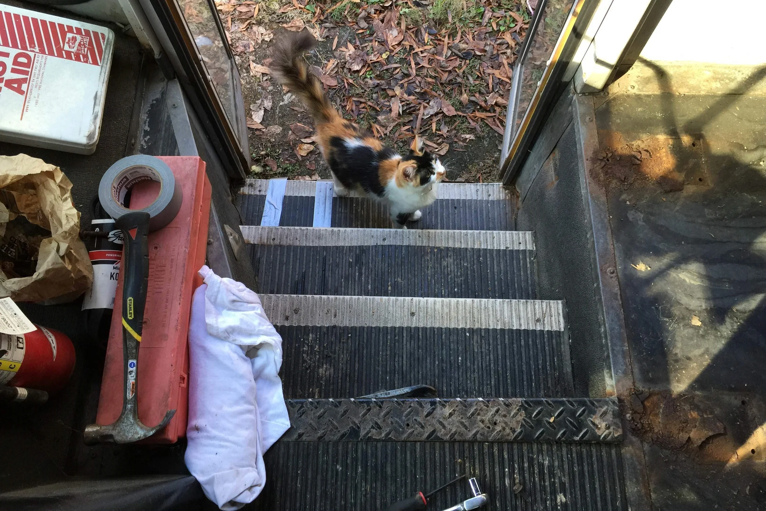 We had a furry supervisor join in the fun.