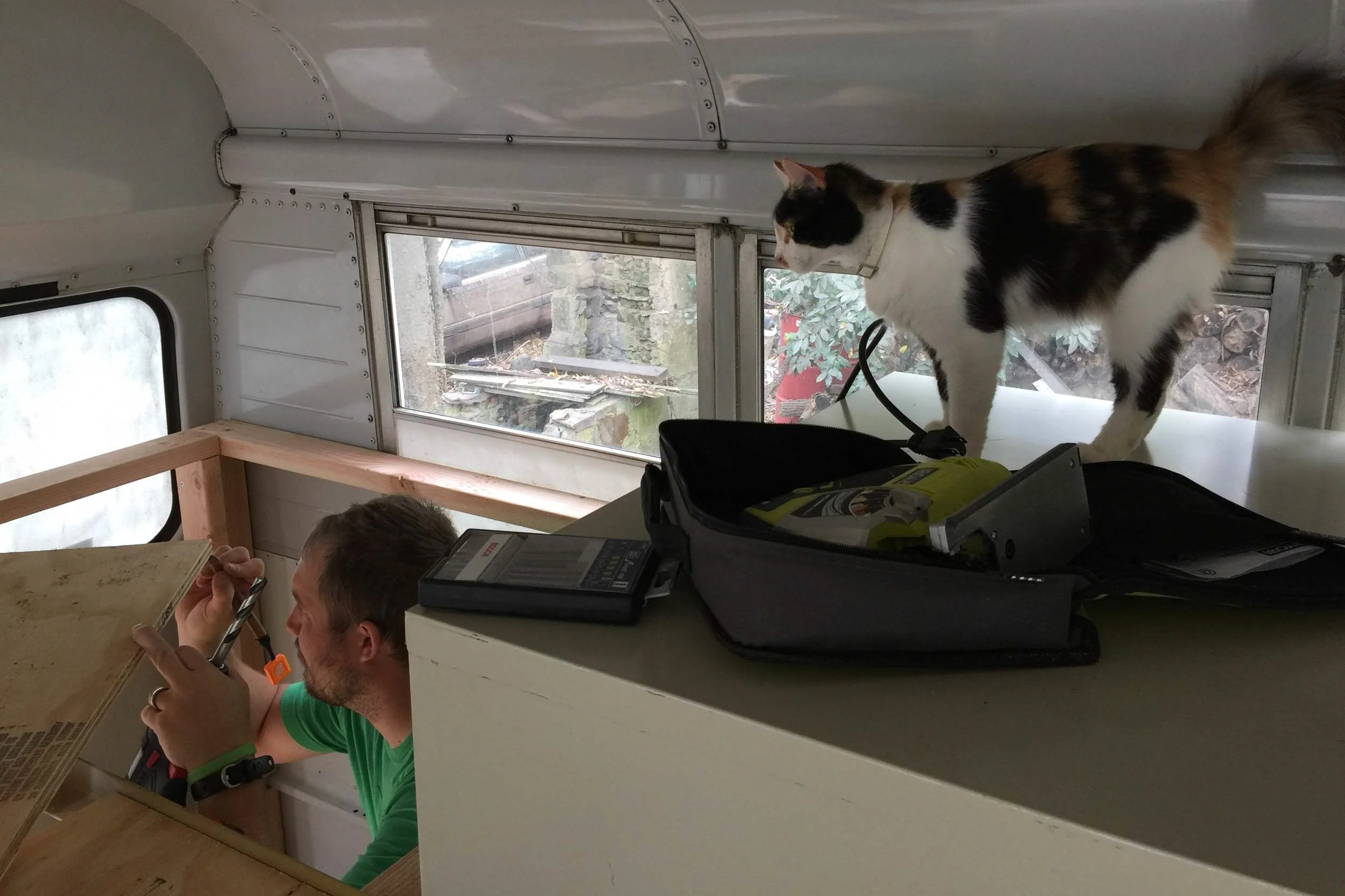 Mindy, the supervisor, always keeping an eye on things.