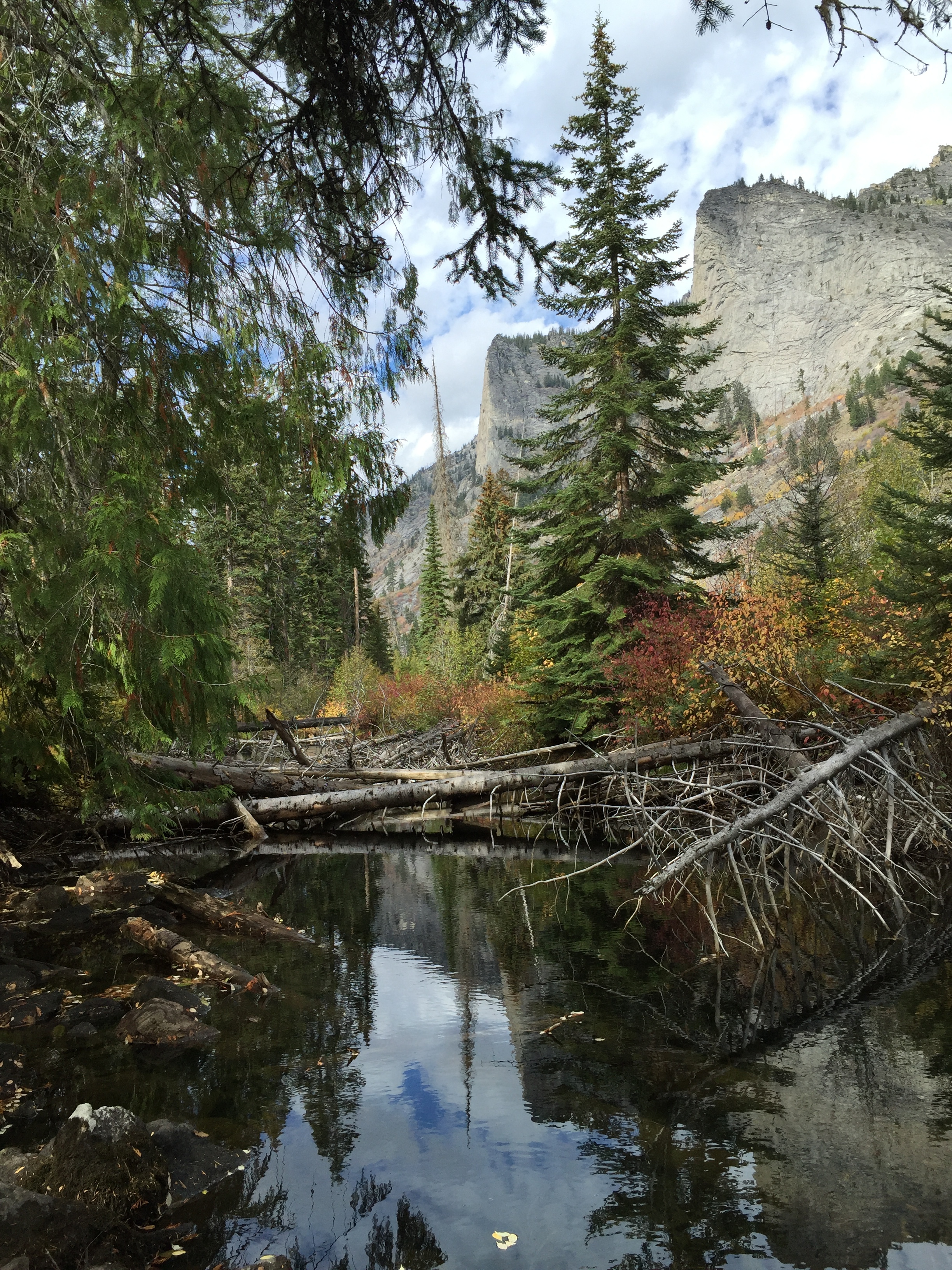 A big shout-out to Chris the camp host for recommending the hike.