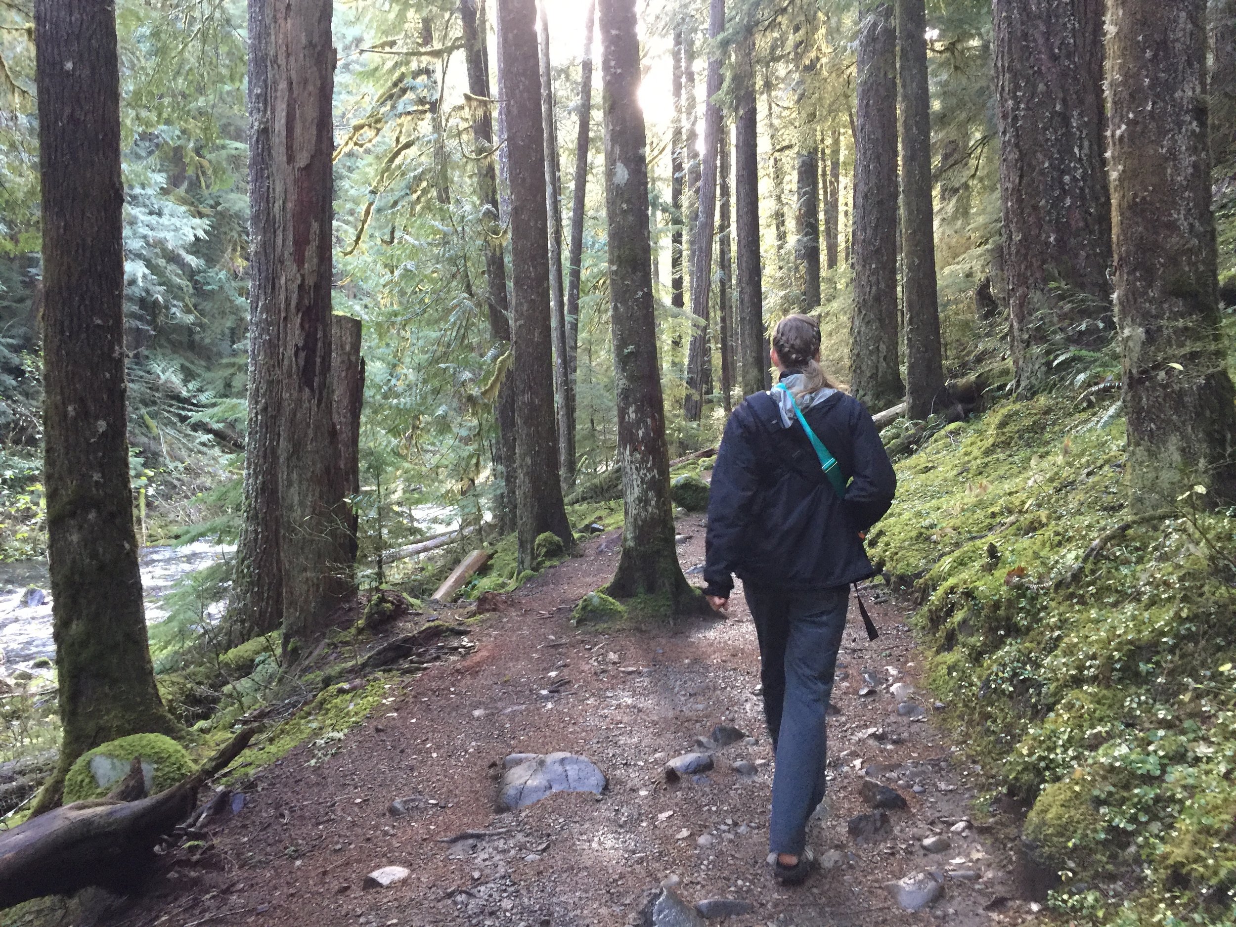 The majority of the path was flatter than this, and a large portion was paved. 