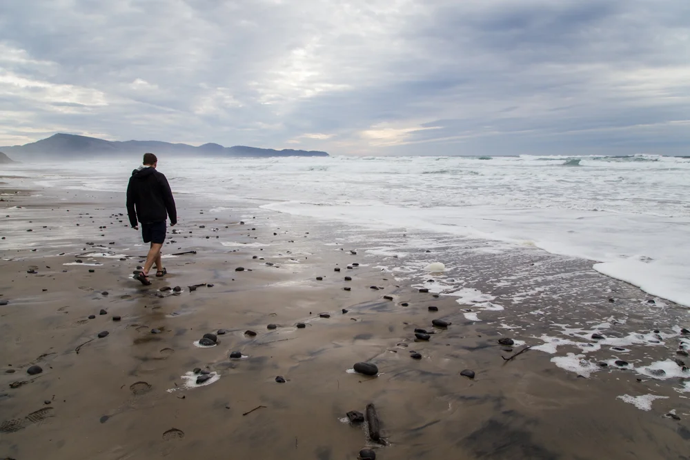 Oregon's coast is AMAZING. Go there.