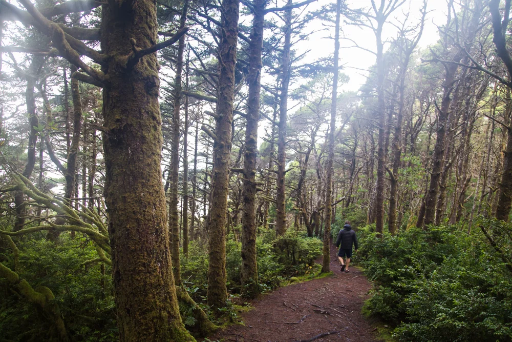 A near fairy tale walk.