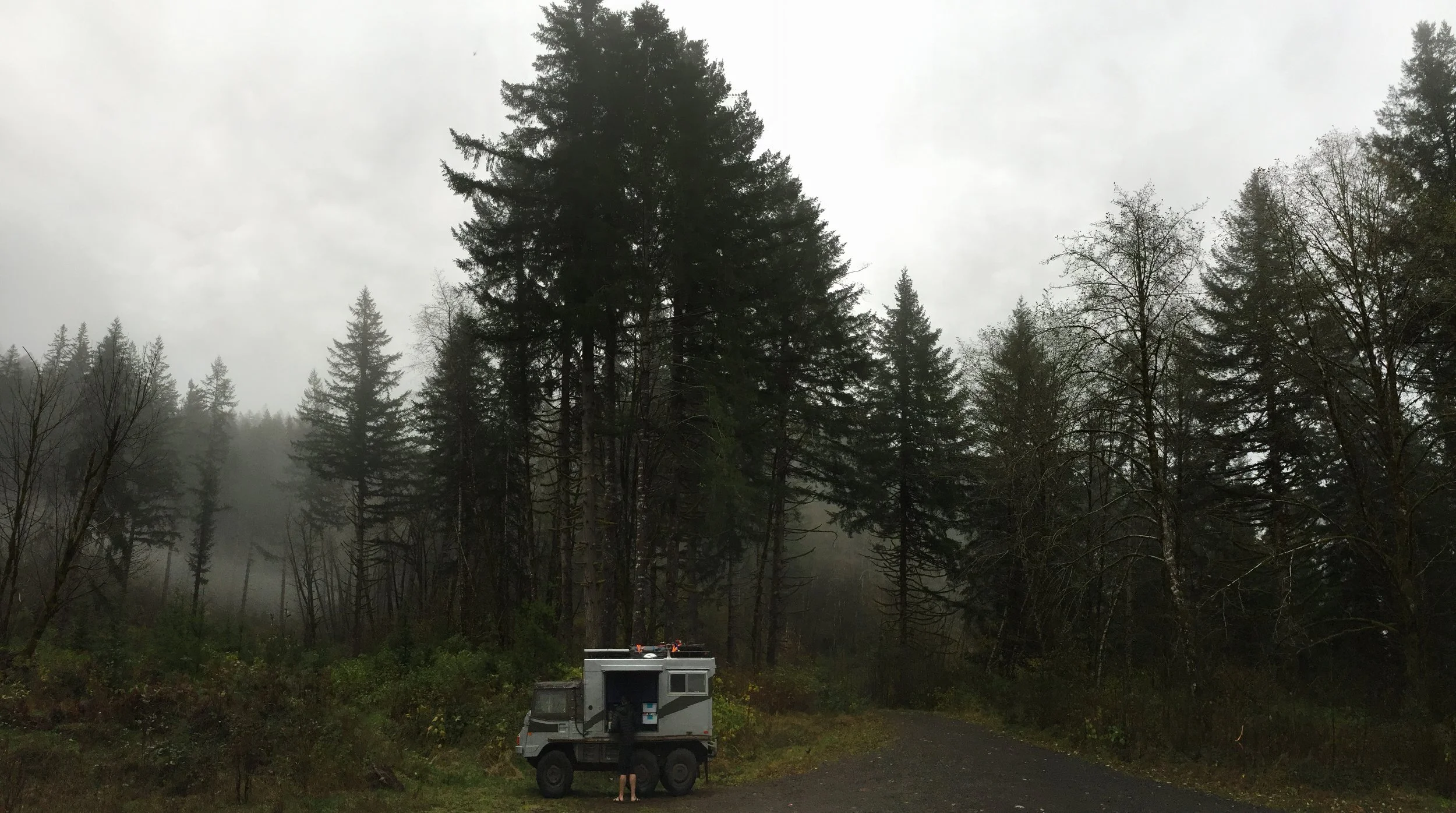Another glorious campsite, this time in a State Forest.