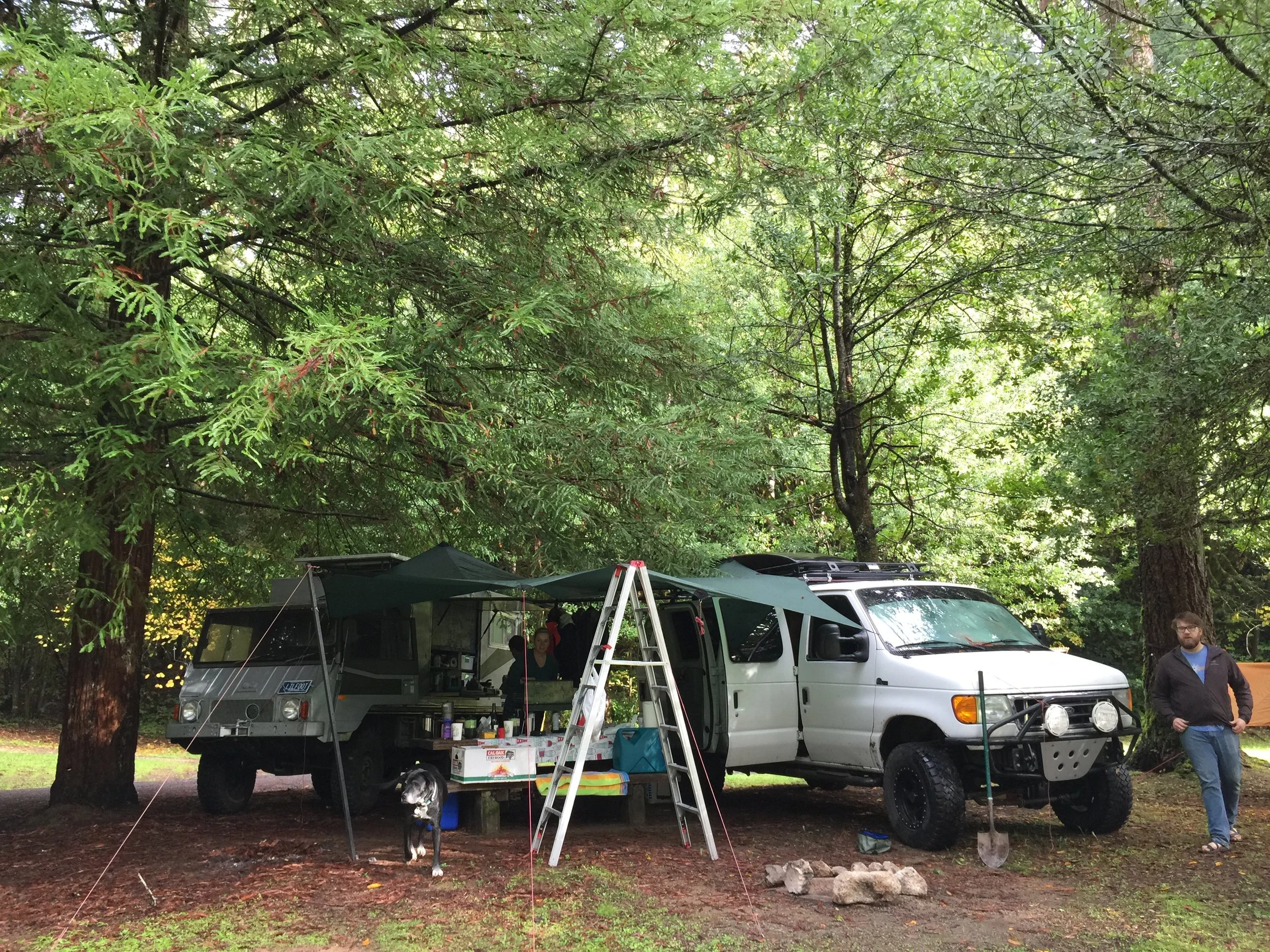Luckily all five of us hold honorary master's degrees in "Tarp-ology", so setting up the shelter was a breeze. Notice the crucial ladder.
