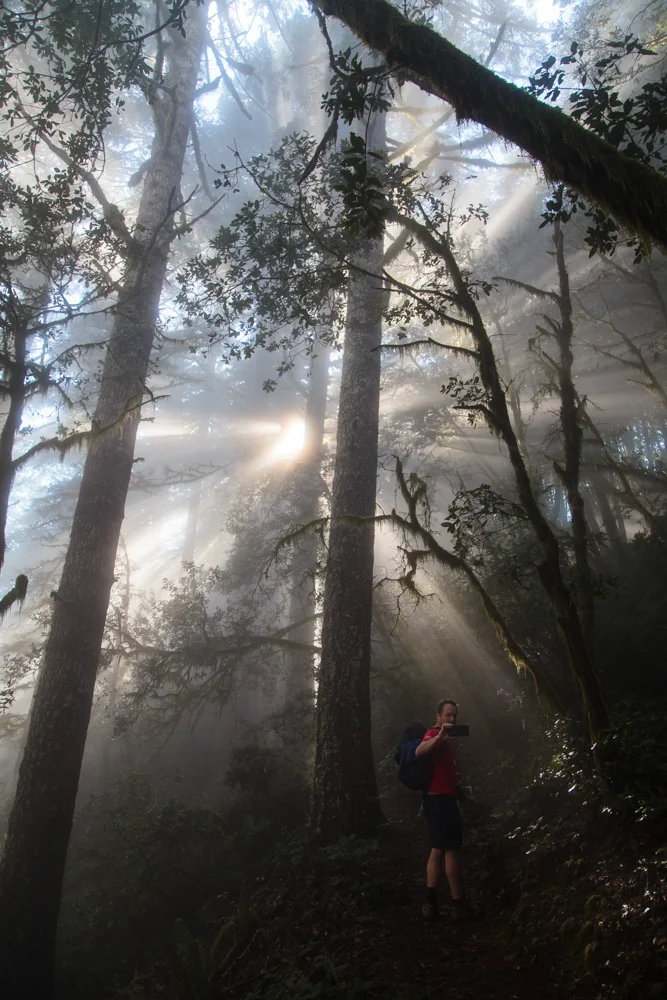 A great hike on Humbug Mountain