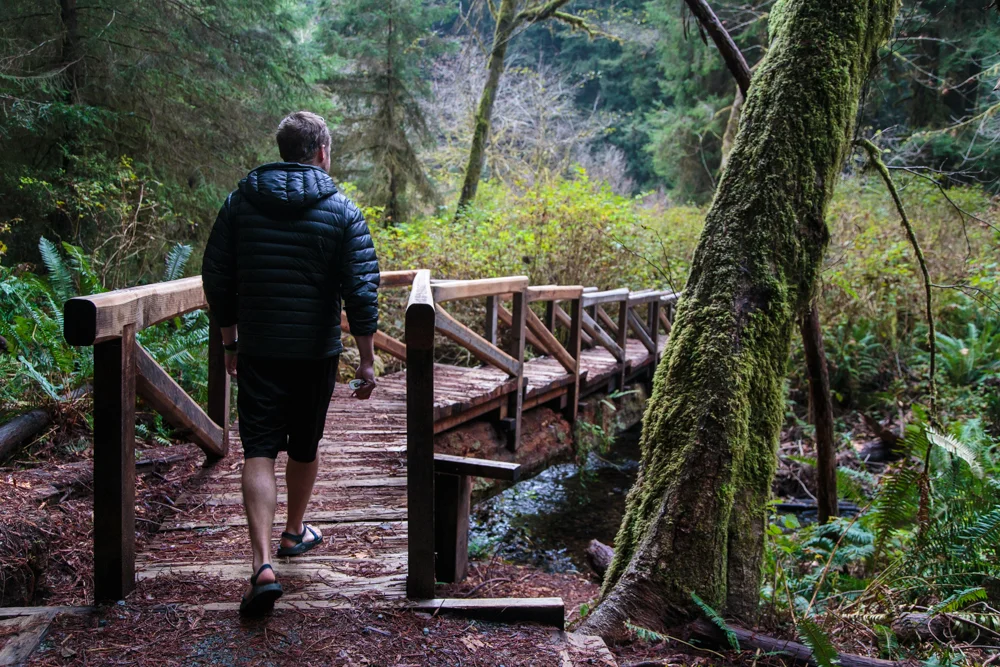 Walking in one of the many, many small redwood groves accessible off the 101.