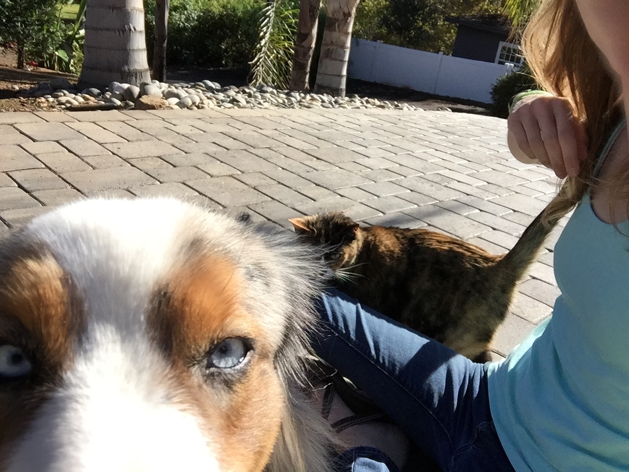 June scoping out the camera, Loulou scoping out June's butthole.