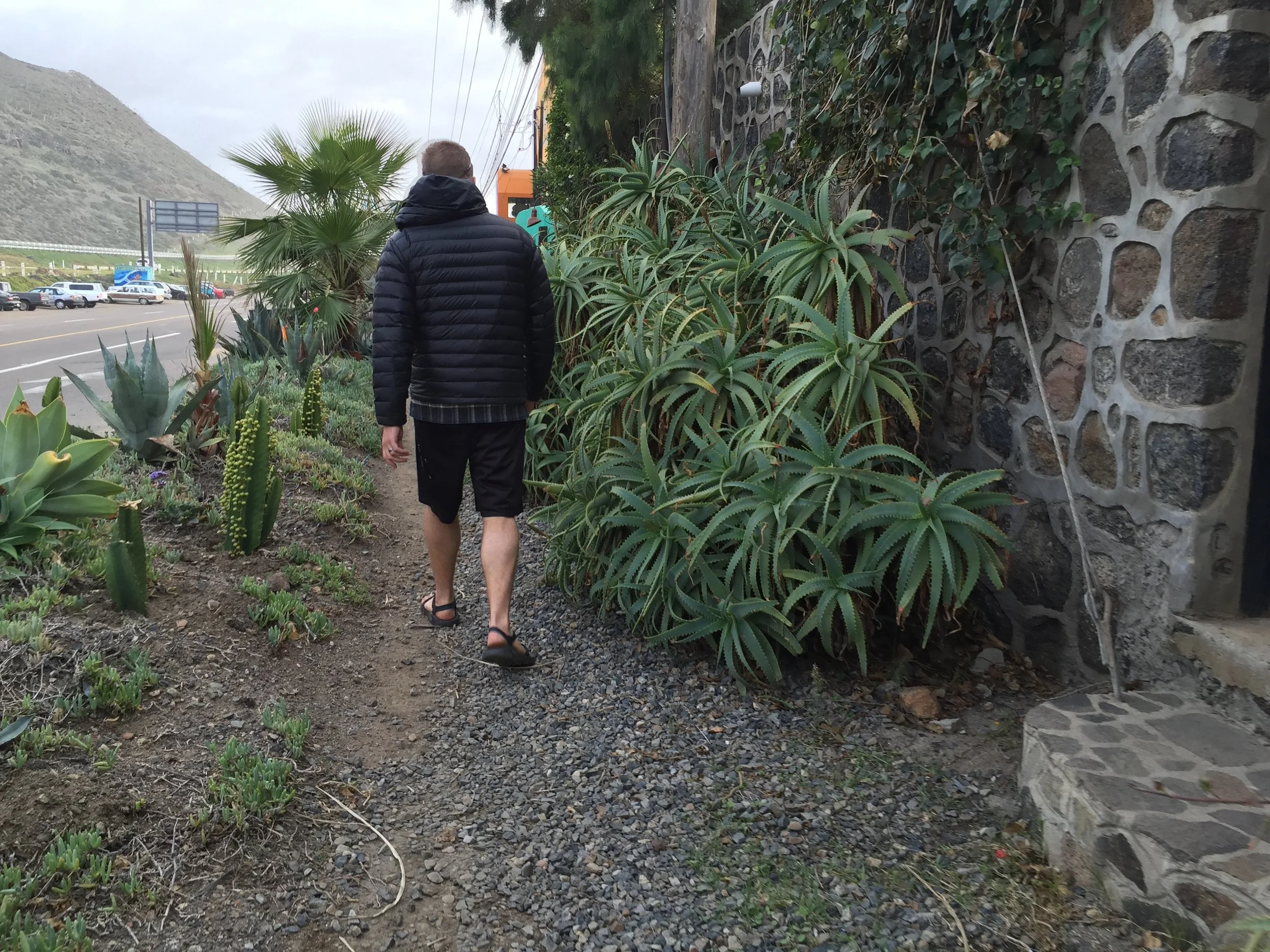 Streets lined with beautiful vegetation.