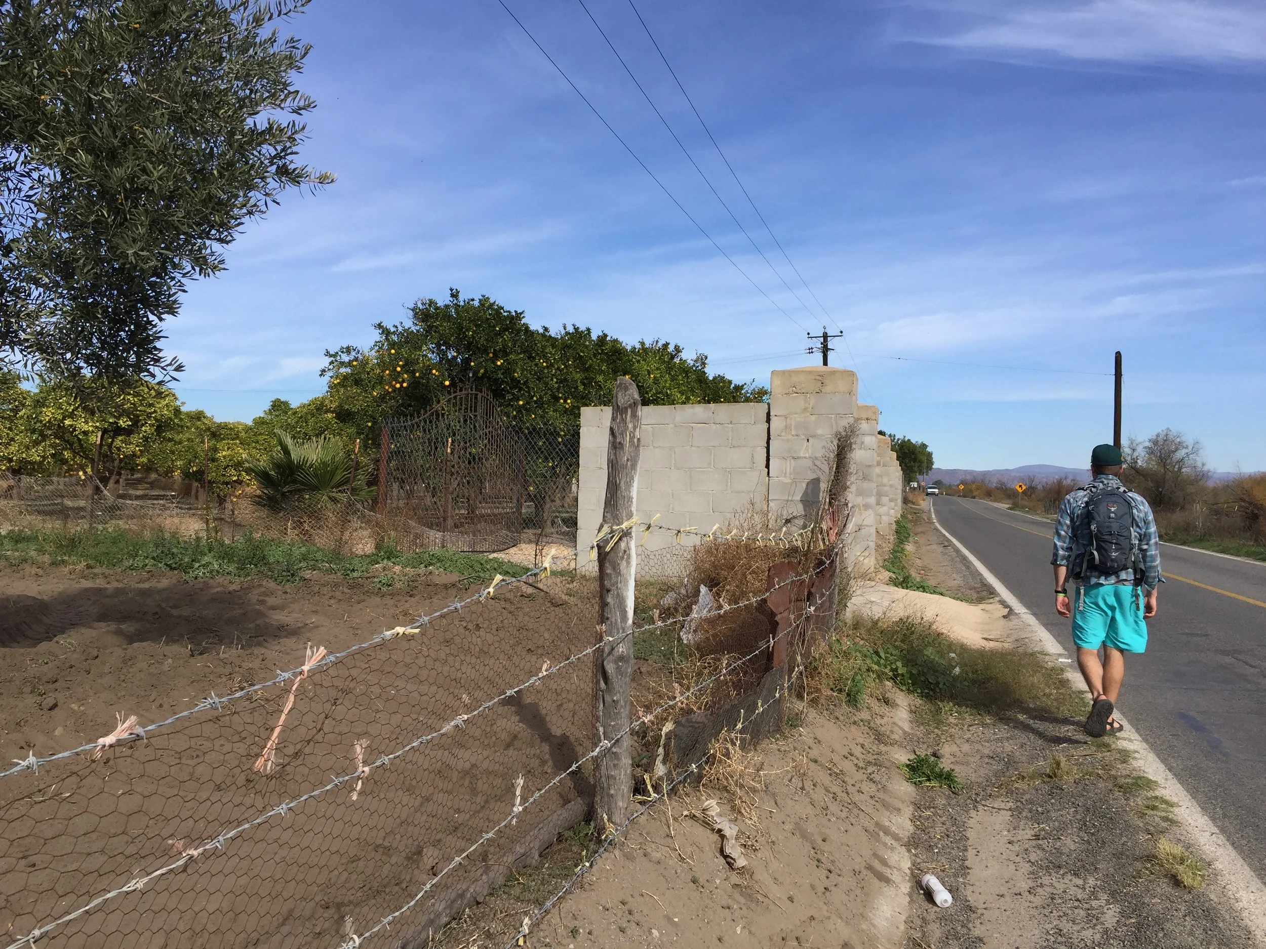 Walking A few miles to town for tacos, Gotta have those Tacos, yo.