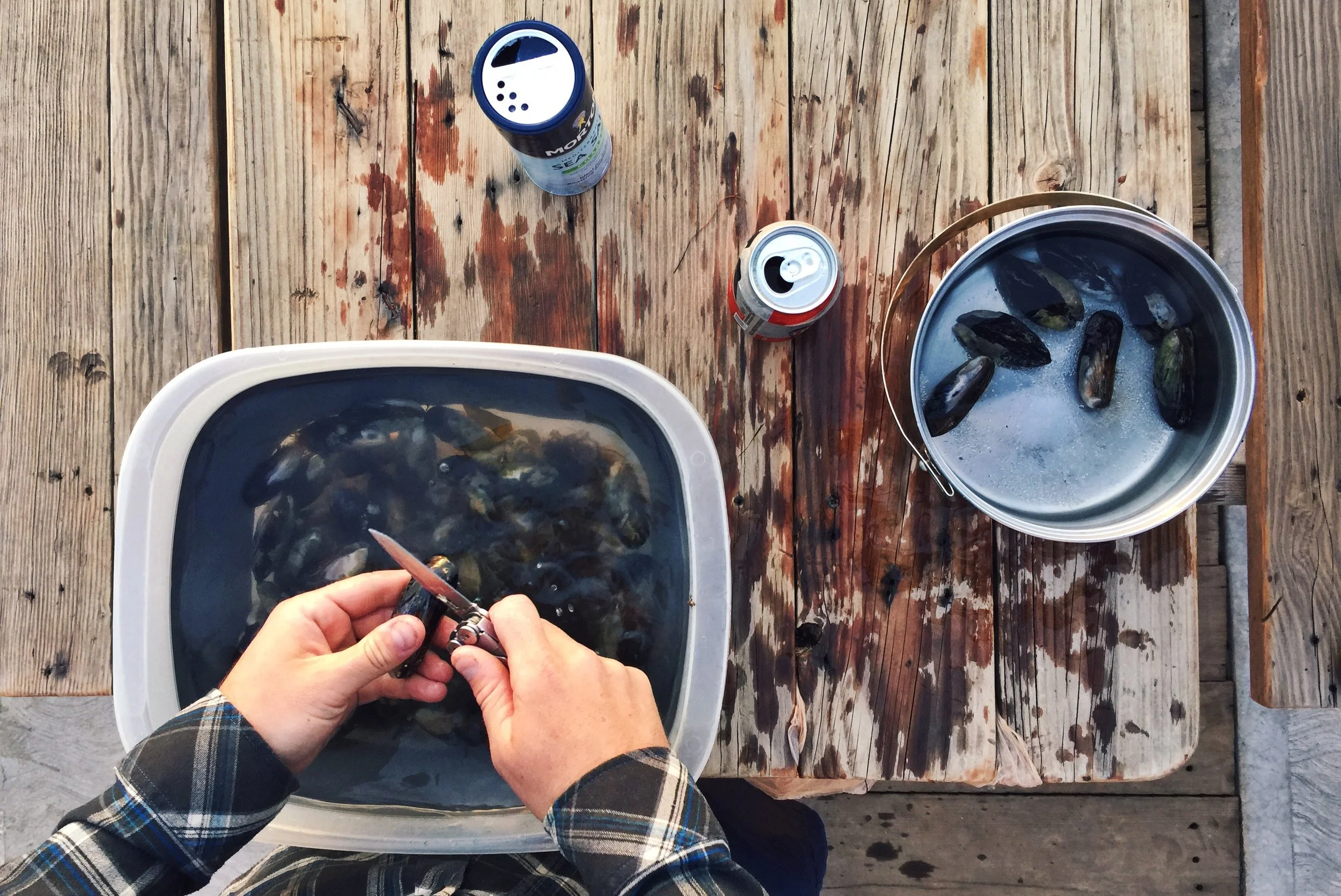 Preparing the mussels! (Hey Leatherman… we think this could be an ad photo for you!) (Is that how sponsorship works? You just write a caption and it happens?)