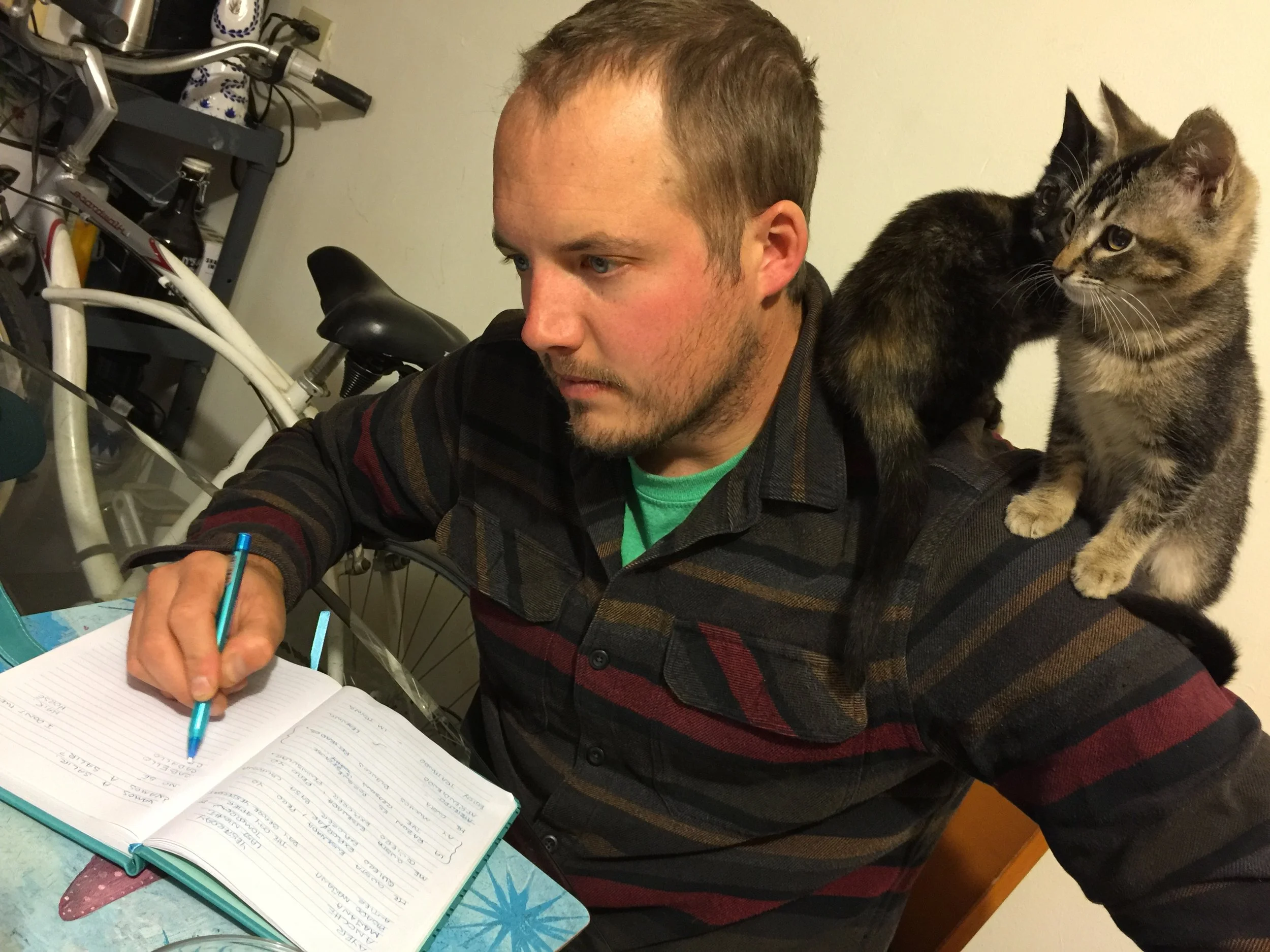Spanish lessons might have been made more difficult, but far more entertaining by these two charismatic kittens.
