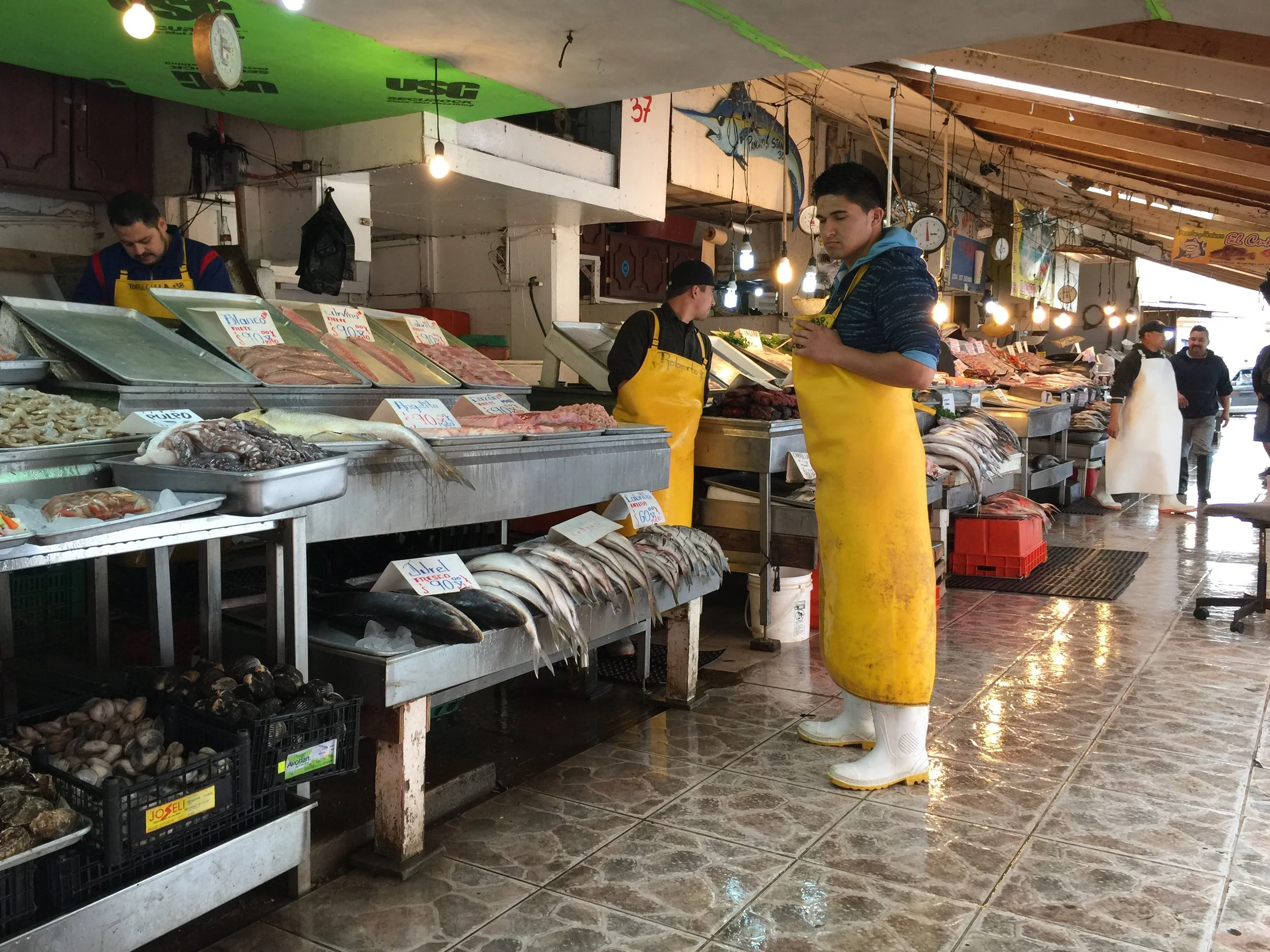 The Mercado Negro. The catch was SO fresh you couldn't smell fish, no joke.