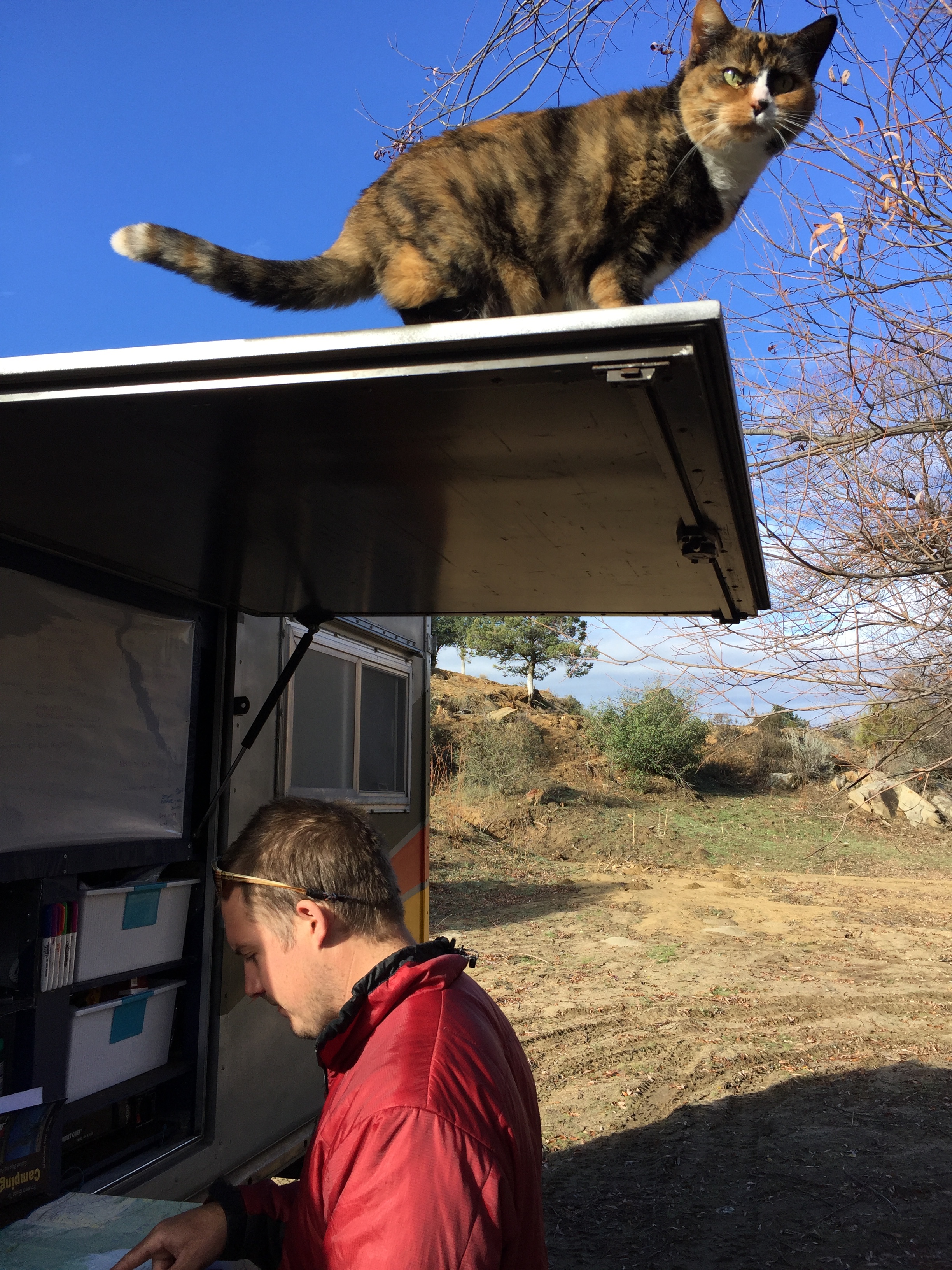 Loulou exploring new heights while we peruse the map for our next destination.