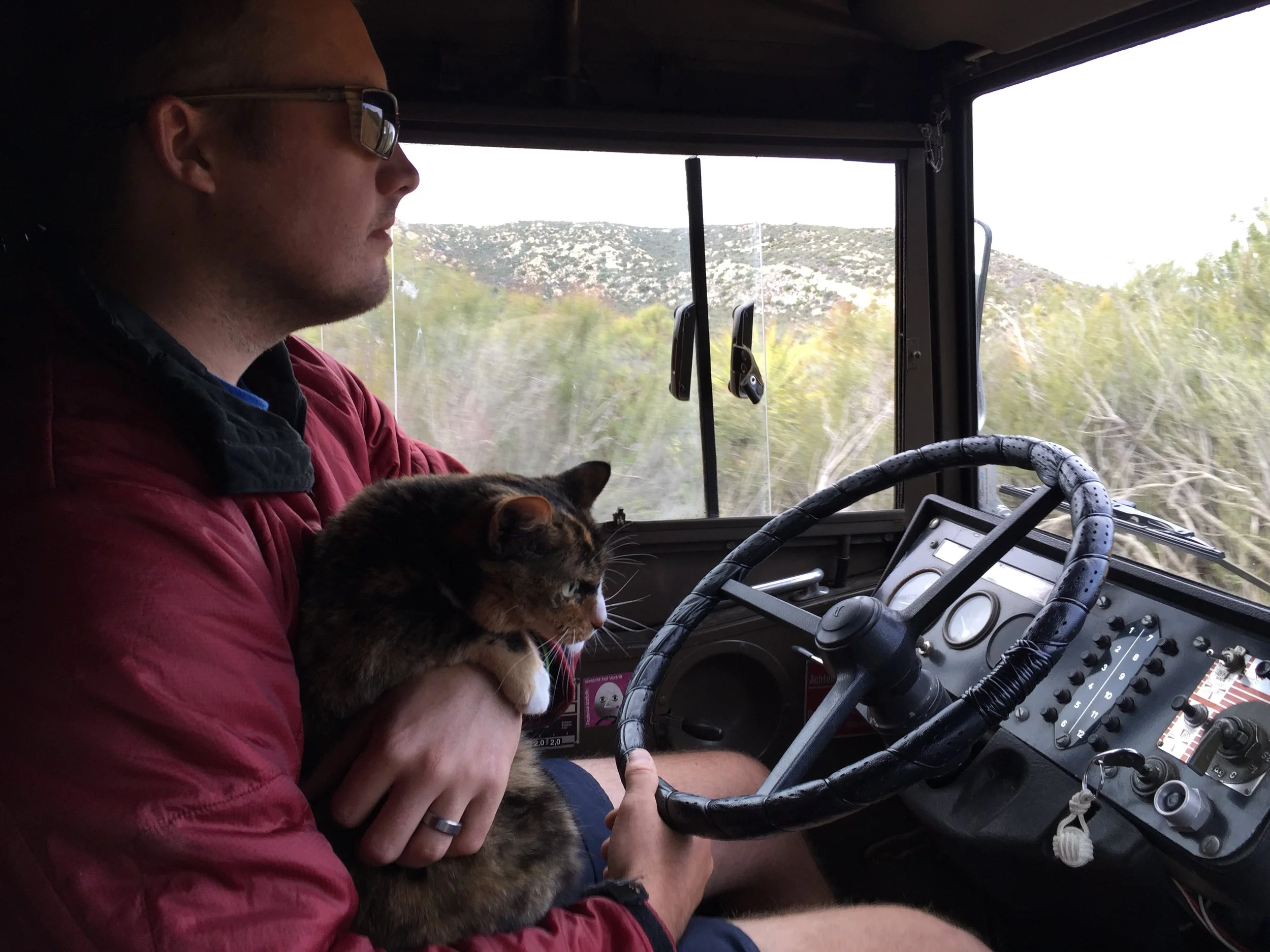 4-wheeling with a cat!