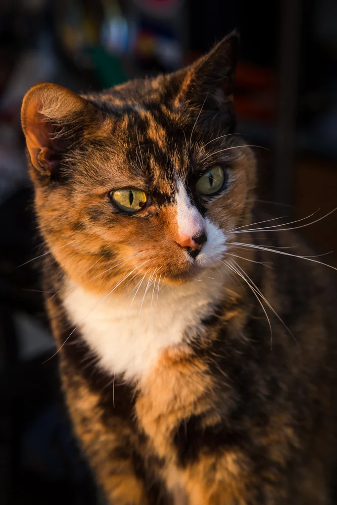 She knows how pretty she is.
