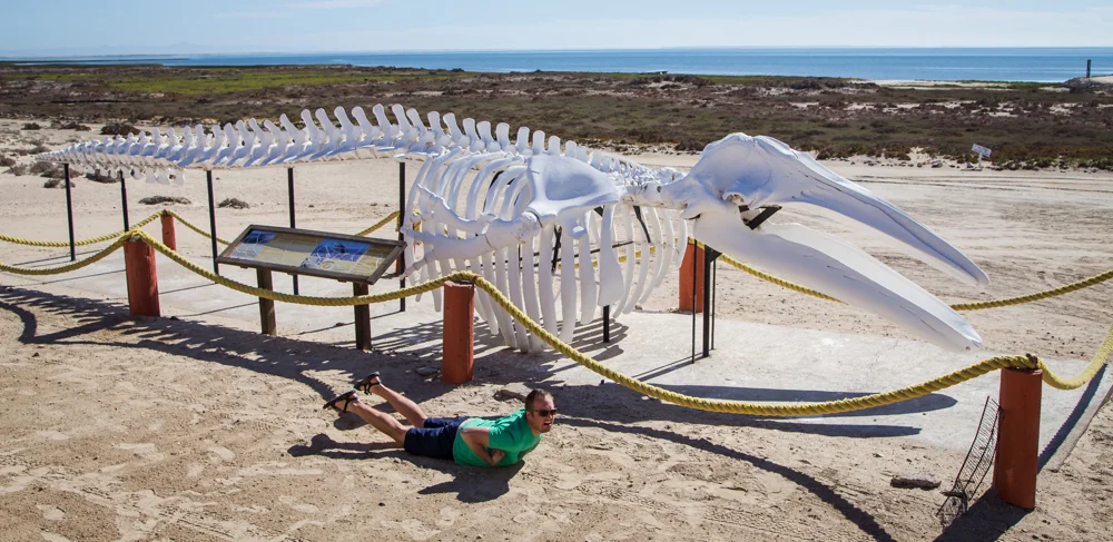 Me, impersonating a whale.