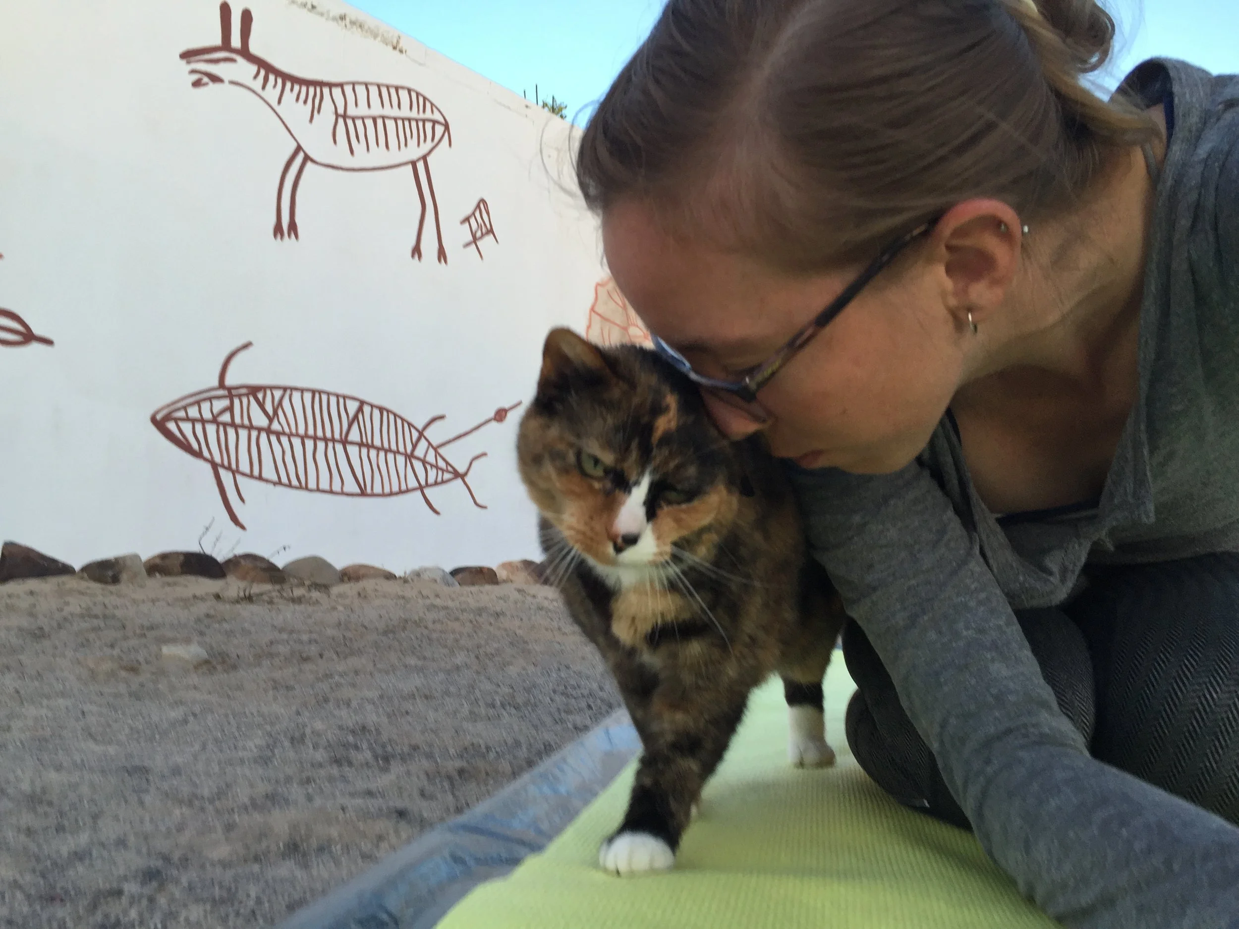 Chels' morning yoga and stretching ritual is often interrupted by head butts with Loulou.