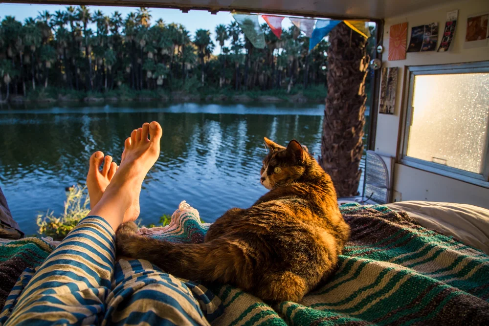 Just buy a truck, a van, a camper, a rig, ANY RIG, and go exploring. This is what you'll get. (Cat not included.)