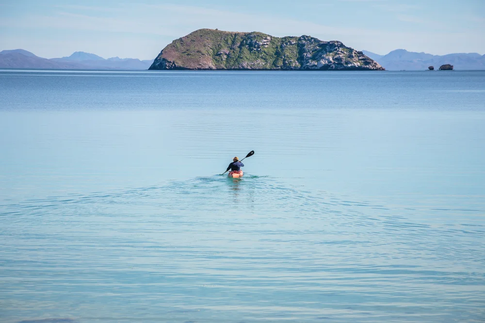 Paddling to find a whale shark.