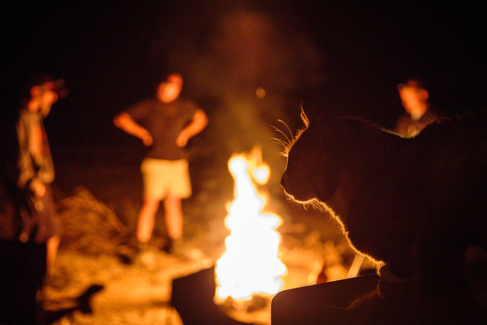 Loulou also likes to hang out by the fires.