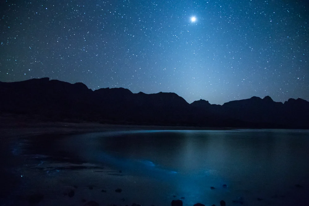The stars and the sea playing.