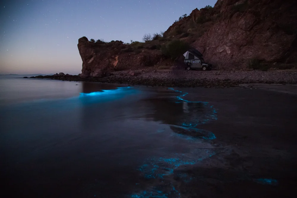 The bioluminsence on display at the cove on the evening of Anna's birthday.