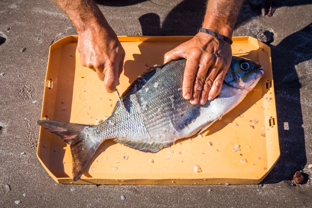 Removing the scales.