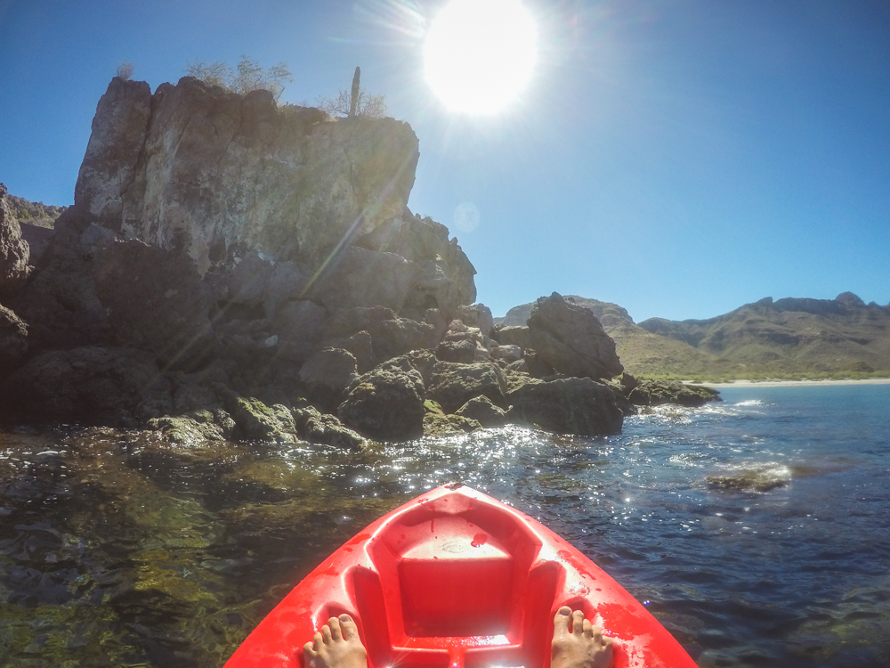 Kayaking for seafood.