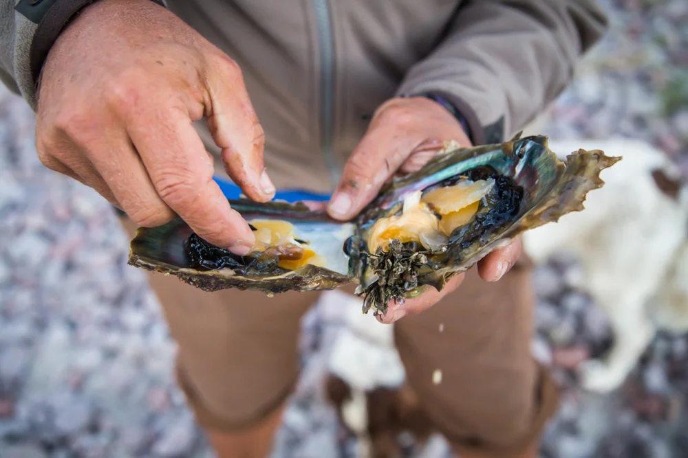 Cleaning them a bit, including removing a pair of tiny lobsters.