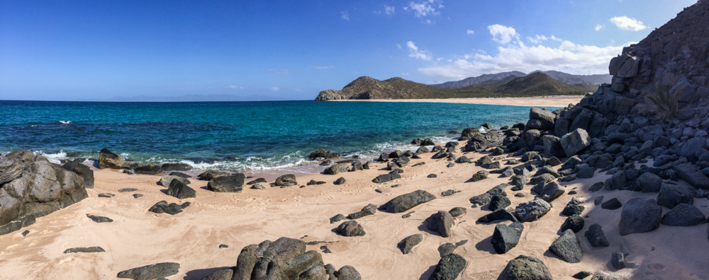 Prime crab hunting territory.