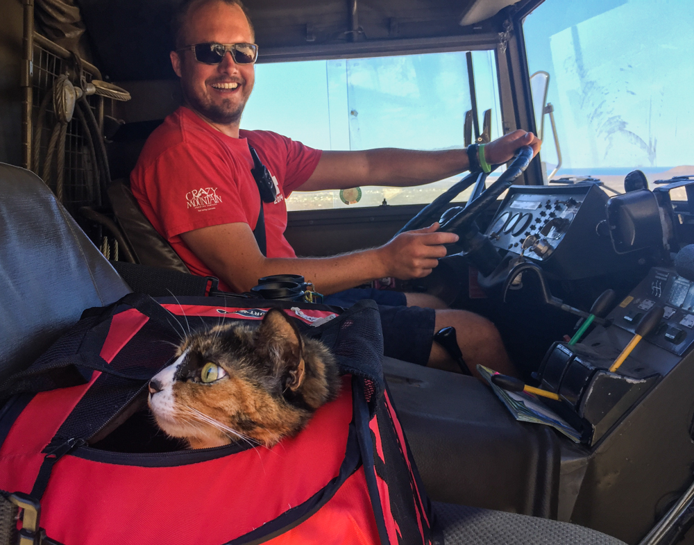 Loulou buckled in, and the rear diffs engaged!