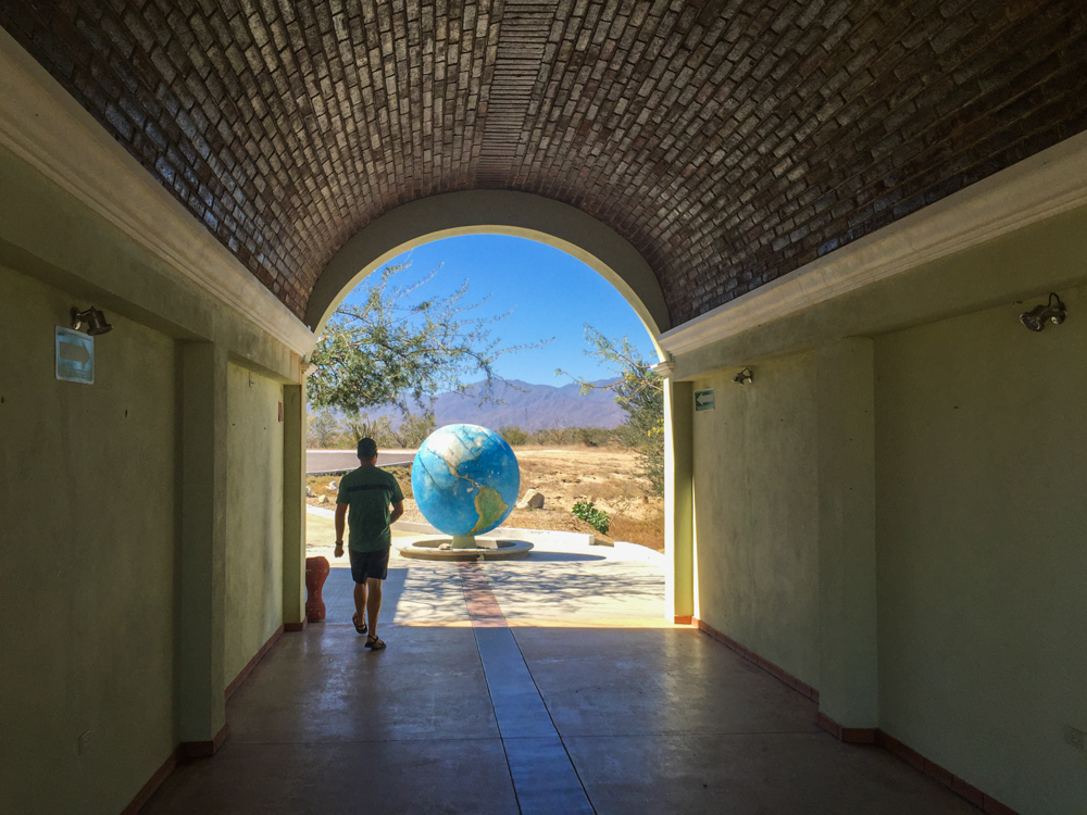 The tropic of Cancer!