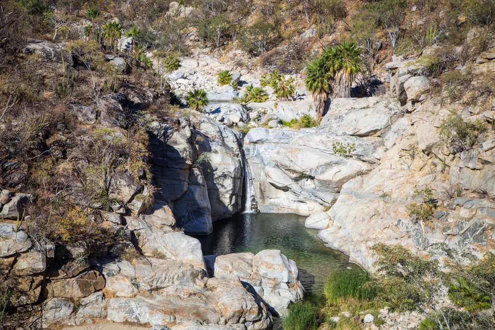 The main pool of the springs from above.