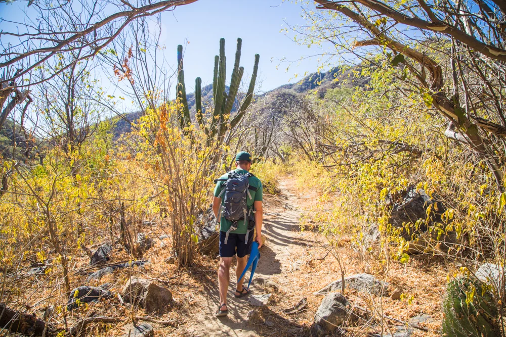 Hiking with flippers through the desert.