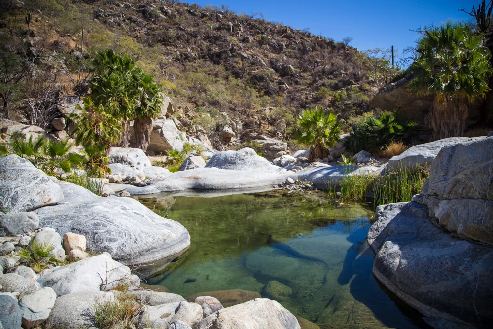 The Oasis and the desert.