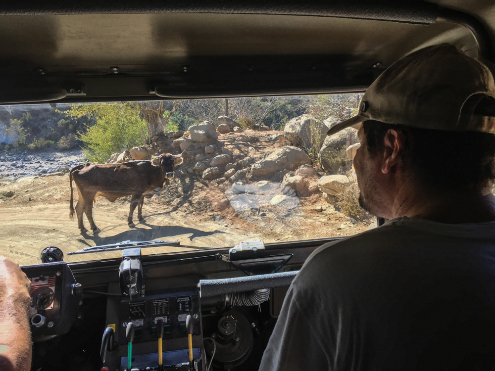 Sylvester helping us get to his family's camp…and commuter traffic.